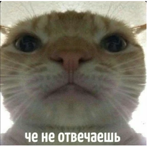 Токсик — стикер для MAX
