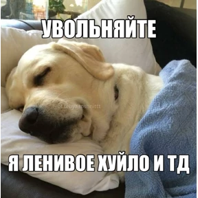 Олени — стикер для MAX