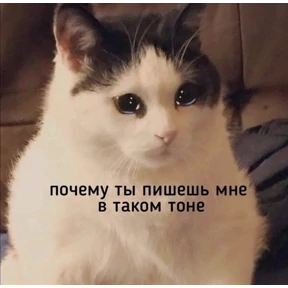 Токсик — стикер для MAX