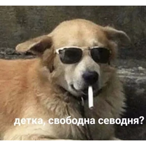 Токсик — стикер для MAX