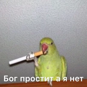 excuse me — стикер для MAX
