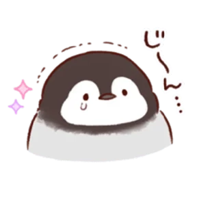 cute peng and chick — стикер для MAX