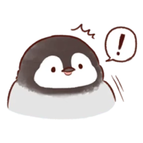 cute peng and chick — стикер для MAX