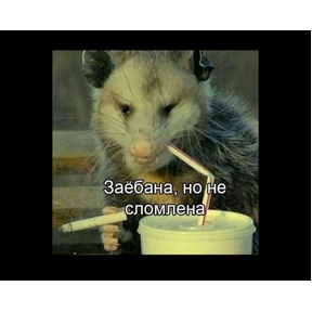 Добрые люди — стикер для MAX