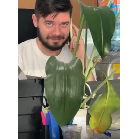 Добрые люди — стикер для MAX
