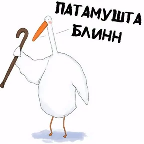 ГусИгорь — стикер для MAX