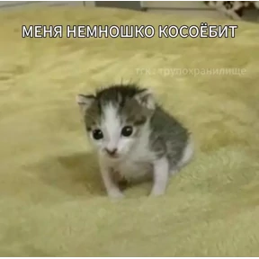 брат брату брат — стикер для MAX