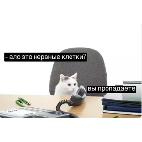 брат брату брат — стикер для MAX