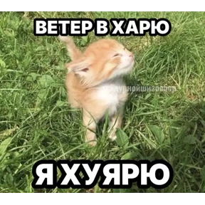 брат брату брат — стикер для MAX