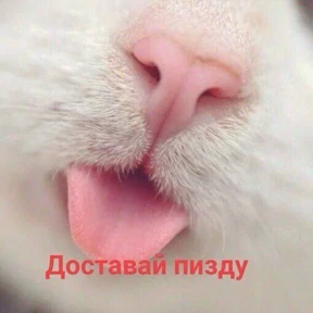 Мой набор — стикер для MAX