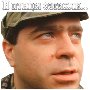 ДМБ — стикер для MAX