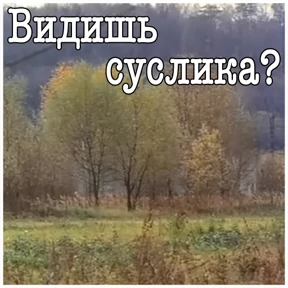 ДМБ — стикер для MAX