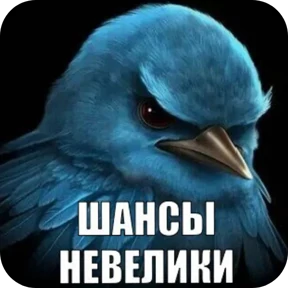 Мой набор — стикер для MAX
