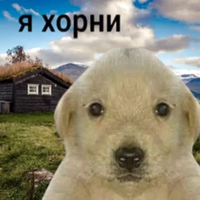 Мой набор — стикер для MAX