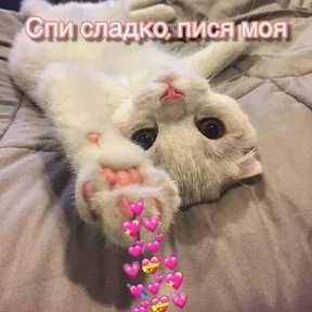 Мой набор — стикер для MAX