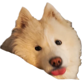 Ами — стикер для MAX