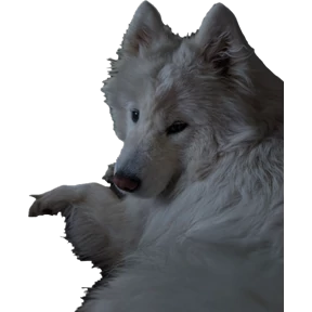Ами — стикер для MAX
