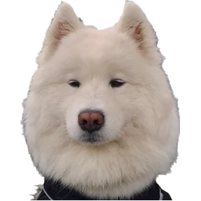 Ами — стикер для MAX