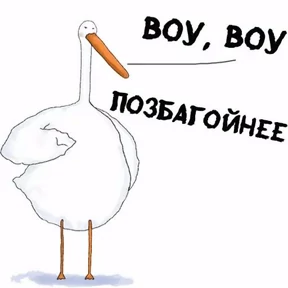 ГусИгорь — стикер для MAX