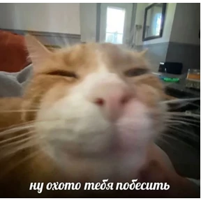 Токсик — стикер для MAX