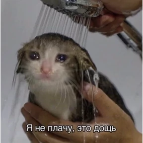 Смех — стикер для MAX