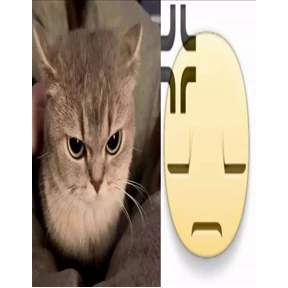 Львята — стикер для MAX