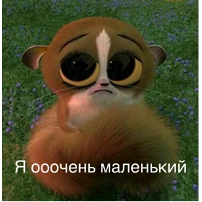 Львята — стикер для MAX