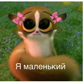 Львята — стикер для MAX