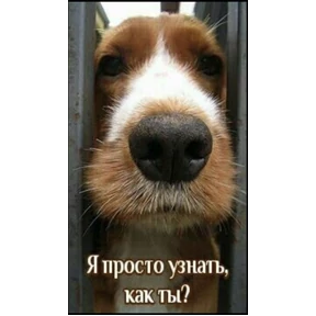 Семья — стикер для MAX
