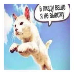 Звездочки 2 — стикер для MAX