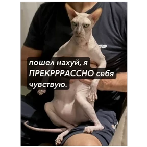 Звездочки 2 — стикер для MAX