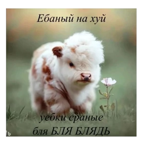 Звездочки 2 — стикер для MAX