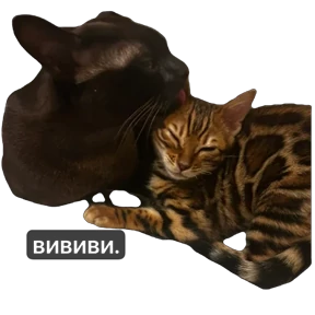 Звездочки 2 — стикер для MAX