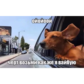 why? — стикер для MAX
