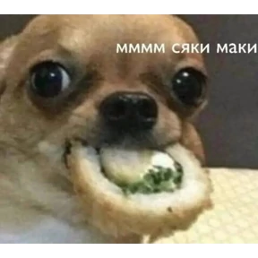 why? — стикер для MAX