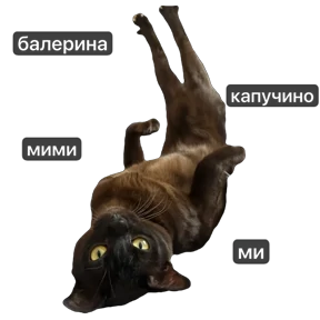 Звездочки 2 — стикер для MAX