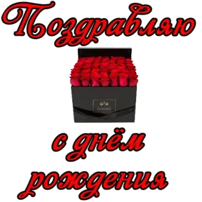 Туся Кальянов — стикер для MAX