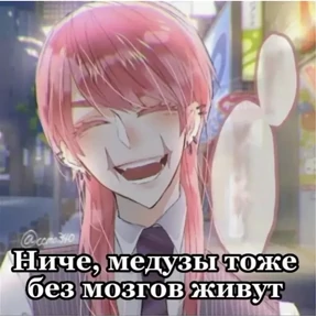 Санзу — стикер для MAX
