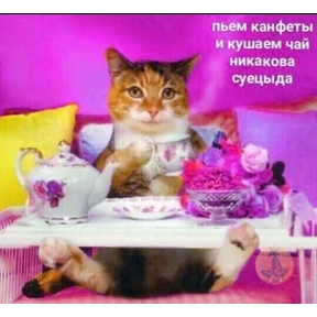 Шабаш — стикер для MAX