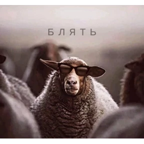 Уло, перезвони мне — стикер для MAX