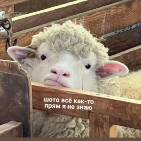 Ага, ну. — стикер для MAX