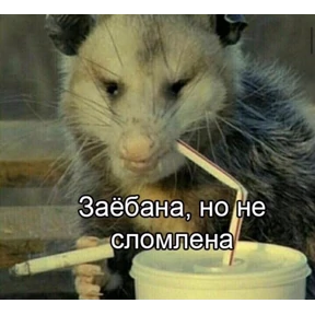 Ага, ну. — стикер для MAX