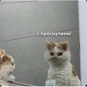Ага, ну. — стикер для MAX