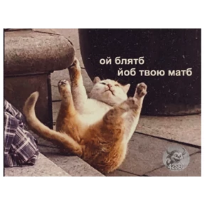 Уло, перезвони мне — стикер для MAX