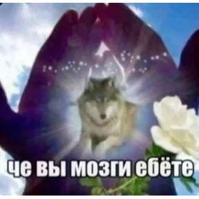 ам — стикер для MAX