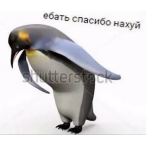 Мой — стикер для MAX