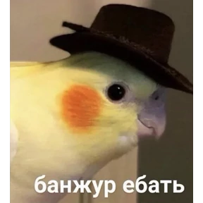 Мой — стикер для MAX