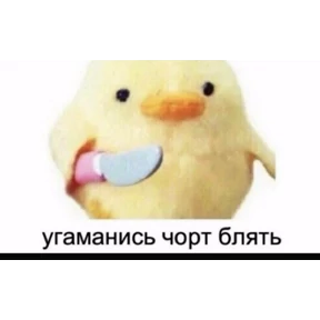 стикосы — стикер для MAX