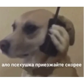 стикосы — стикер для MAX