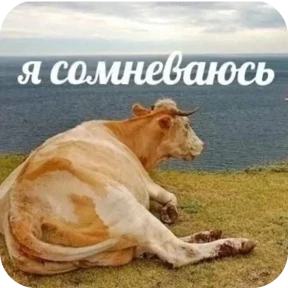 Стикеры — стикер для MAX
